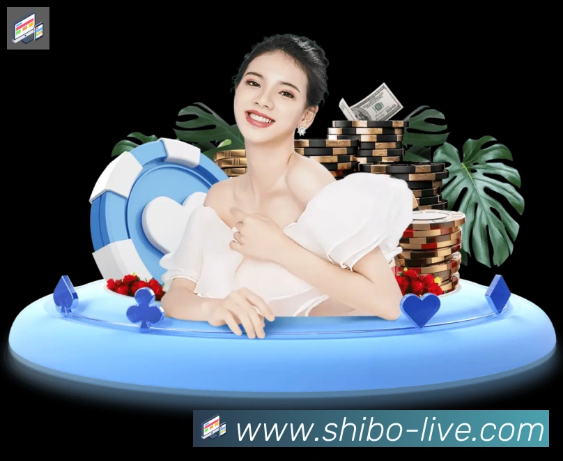 未来规划